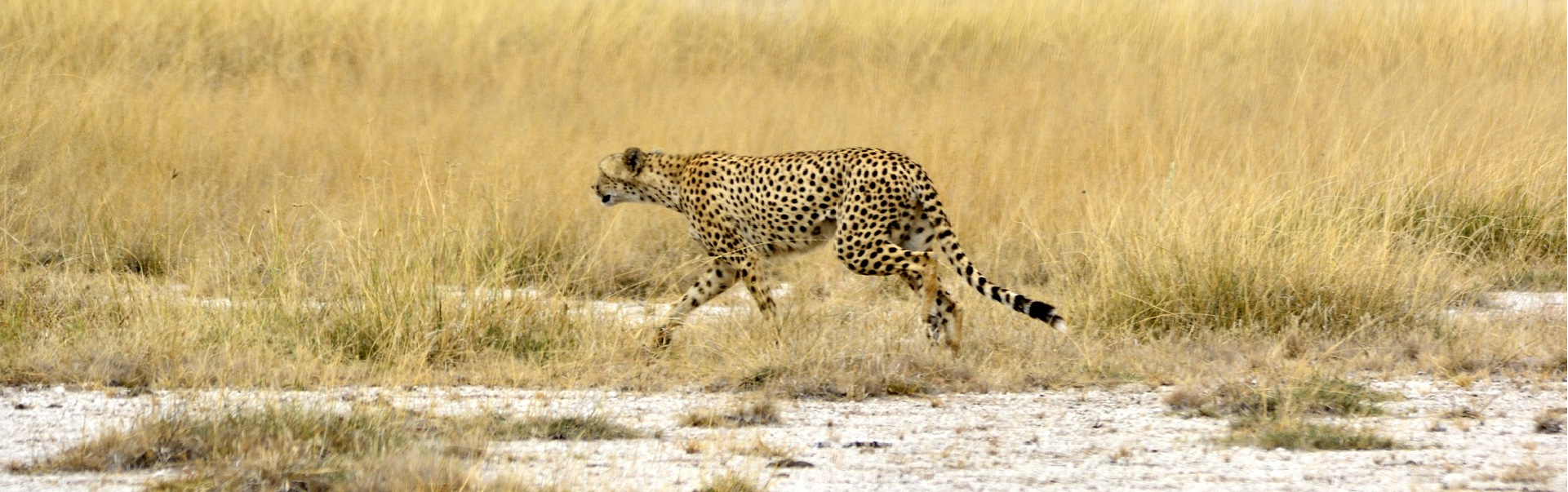 Amboseli National Park Tour ETHOEA-09